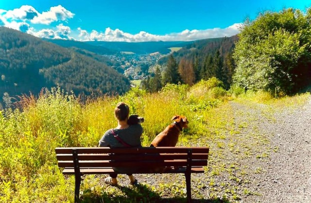 Hundeparadies Waldblick Lauenstein
