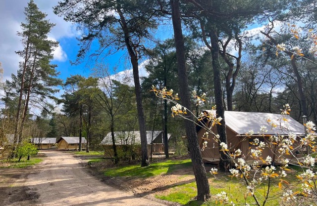 Huttopia De Veluwe