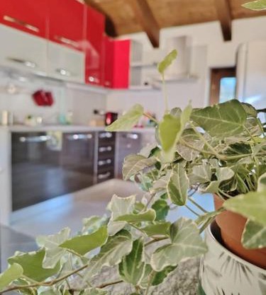 Hygge Guesthouse