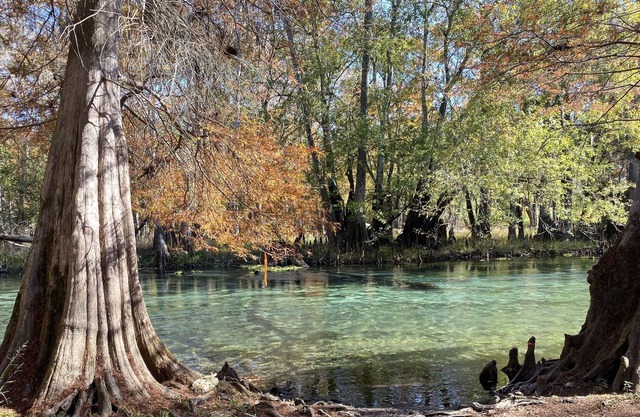 Ichetucknee River house