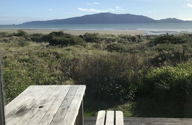 Iconic absolute beachfront 60s bach