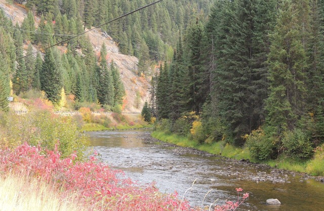 Idaho Wilderness Cabin