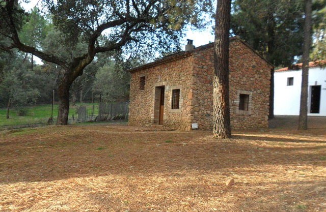 Ideal bungalow for couples in nature