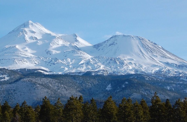 Ideal Location! Downtown Apartment, Close to Wilderness Trails w/Covered Parking
