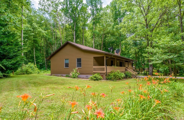 Ideal Wooded Gem W/Large Deck, Gas Grill, Free WiFi, Firepit & Creek