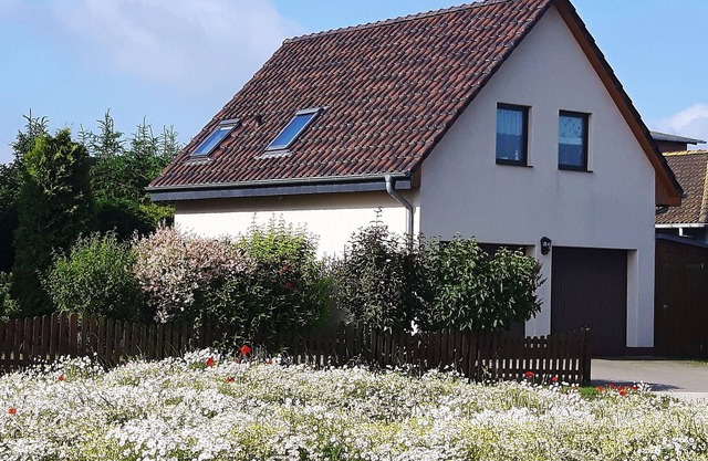 Idyllic apartment near the beach on the Greifswalder Bodden