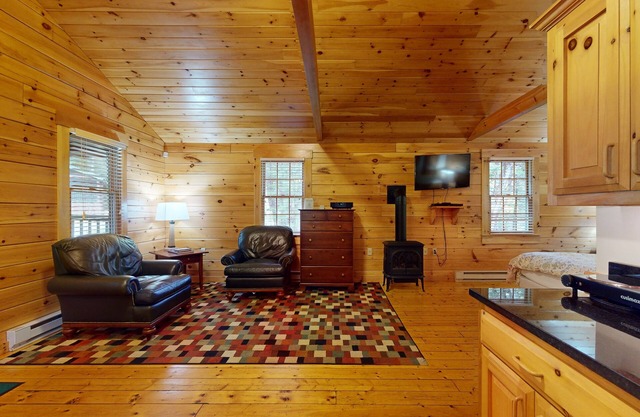 Idyllic dog-friendly studio cabin with AC, fireplace & WiFi