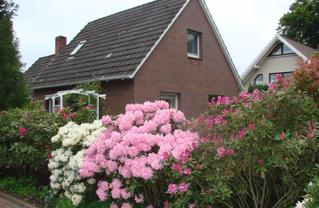 Idyllic house, at historic clinker brick street with linden trees