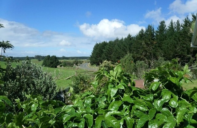 Idyllic Pouto Peninsula. distant Water farm Views