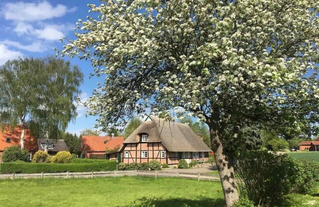 Idyllic thatched-roof house for 6 people near Hohwacht Bay