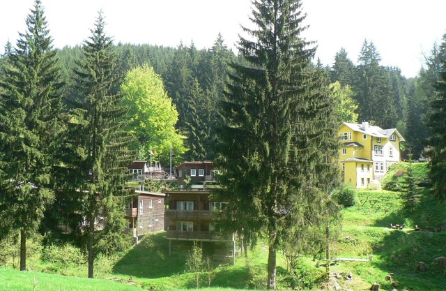 Idyllically situated vacation home in the middle of the forest