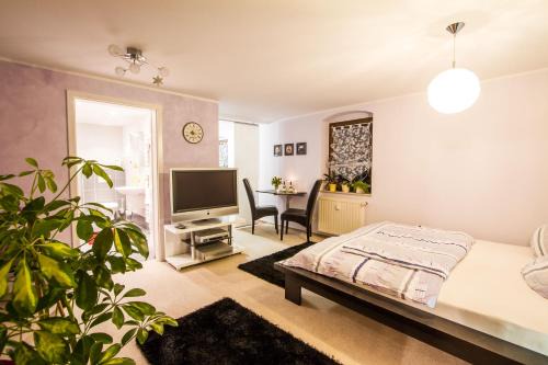 Idyllische Ferienwohnung am Pillnitzer Schlosspark