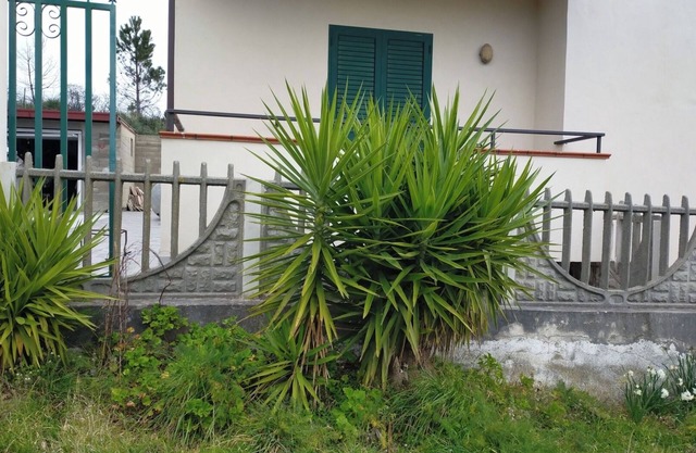 If you love nature in the hills cottage surrounded by greenery p.t.