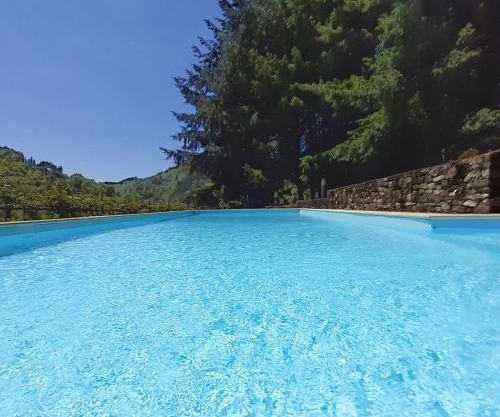 Il Bosco di Campo Marzano studios
