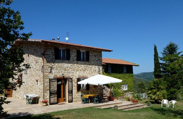 Il canto dell'asino