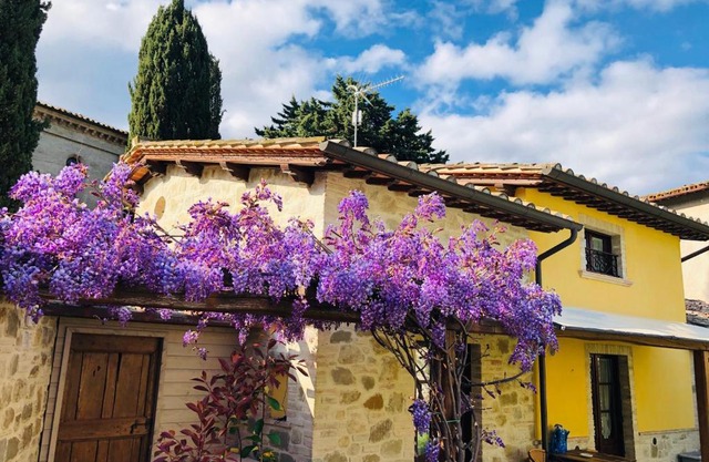 Il Cortile delle Rose Holiday House
