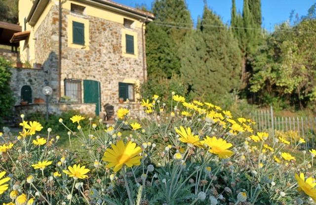 Il Fontolo