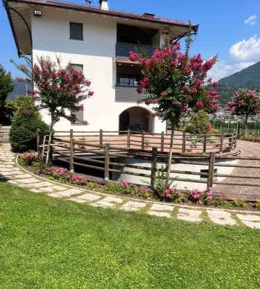 Il Gallo