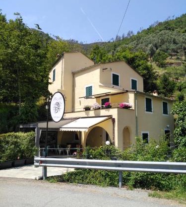 Il Ghiro