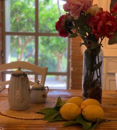 Il giardino dei limoni