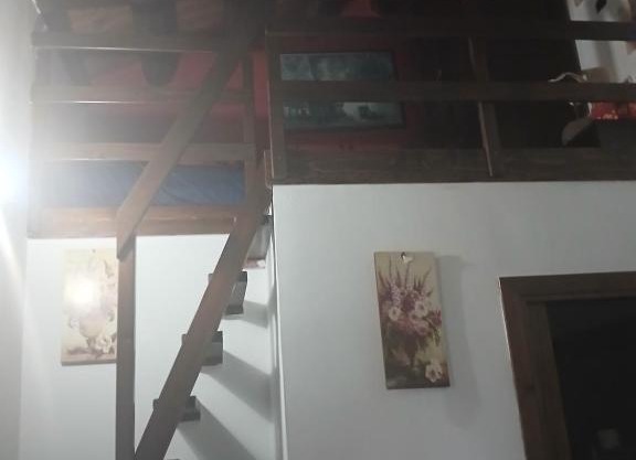 Il Nuovo Fiorile