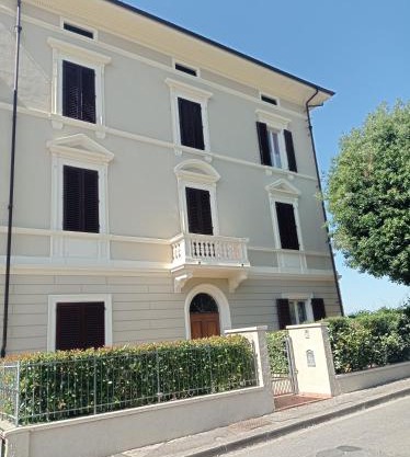 Il Pettirosso