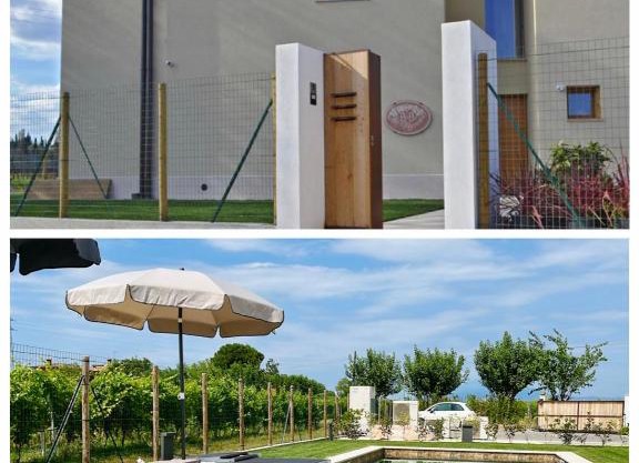 Il Vigneto