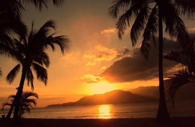 Ilhabela - Season Year Round -Beautiful Garden in Perequê