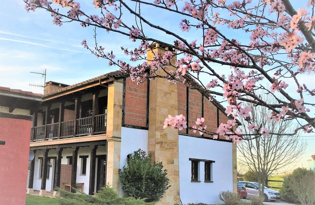 Imagine a wonderful environment, in the middle of nature and a stone's throw from the beach.
