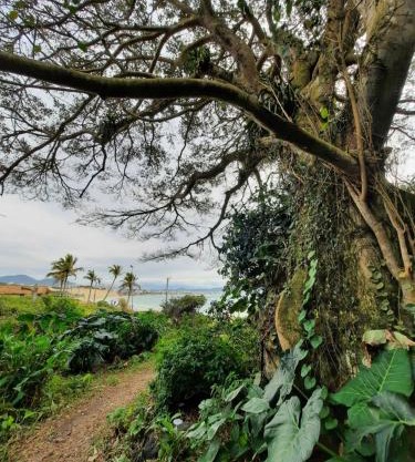 ImobIlha - Casa de Praia Ingleses - Santinho