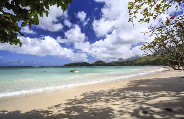 Impeccable 3-Bed Villa in Anse Boileau!