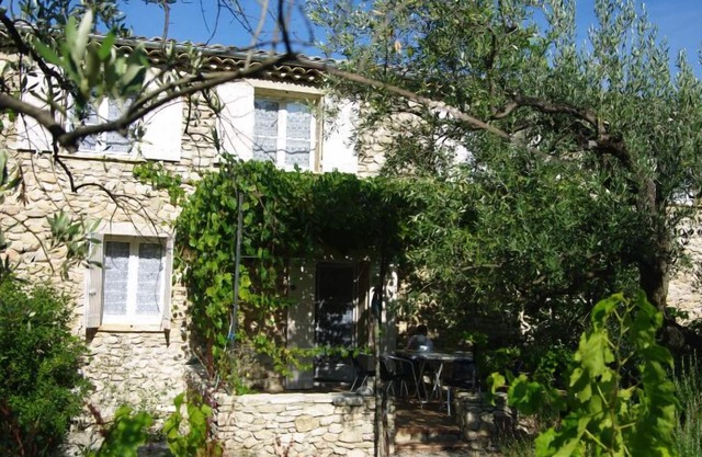 IN A PROVENCAL DROME ON AN ORGANIC DOMAIN - VINES AND OLIVE TREES
