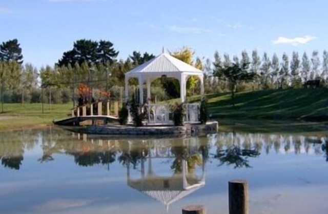 In Christchurch city on acreage Very Private Garden overlooking our Olive Grove