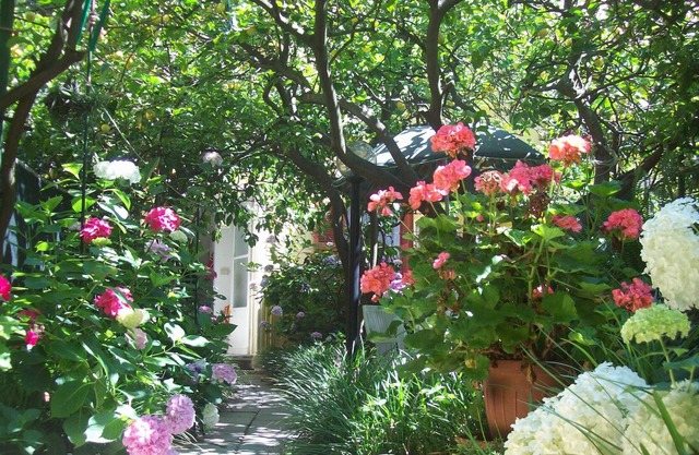 In historical centre of Monterosso, a romantic house with garden