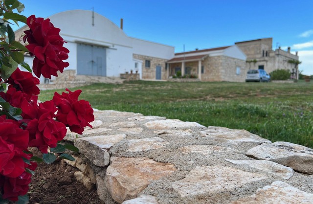 In old farmhouse in Apulia, large room with kitchen, bathroom, garden