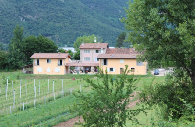 In the countryside near Garda Lake
