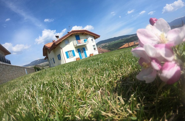 In the green and cool Trentino large apartment with garden, balcony, parking space