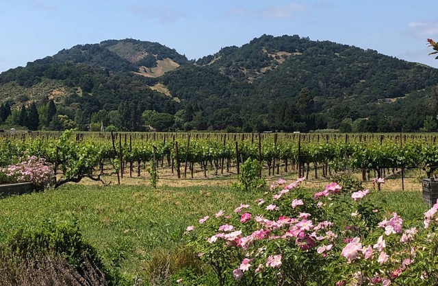 In the heart of Napa Valley…Fabulous Property, Fabulous Location!