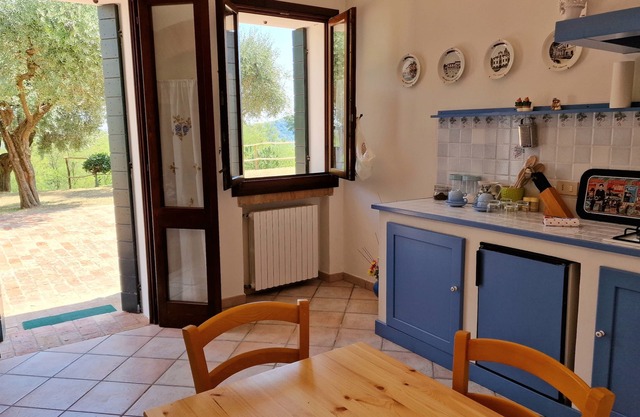 In the middle of Euganean Hills: total relax among olives and vines