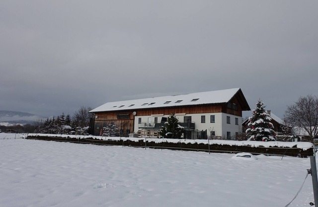 In the middle of the Alps / In the middelof the alps