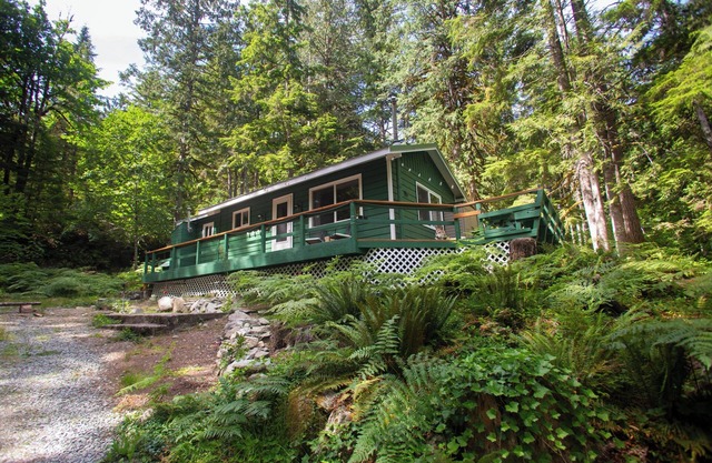 Incredible mountain views, off grid cottage sleeps 4