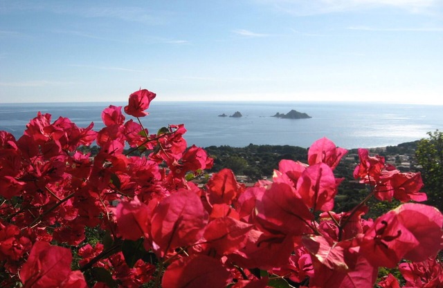 Independent apartment 700 meters from the sea with panoramic views