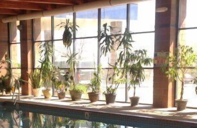 Inn at the Canyons