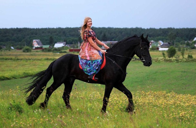 Inn First Horse