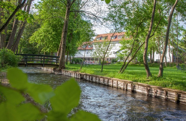 Insel Mühle