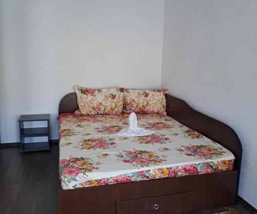 Ionuț residence