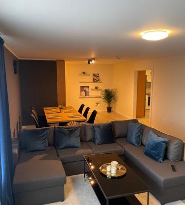 IQ Apartments 1