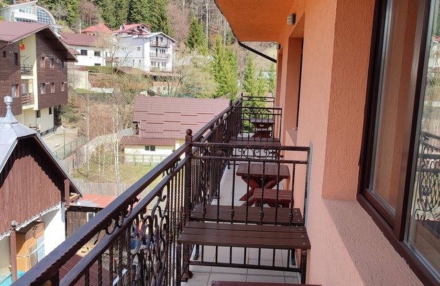 Iri Busteni Hotel