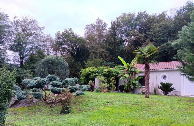 Island - Lestelle-de-Saint-Martory
