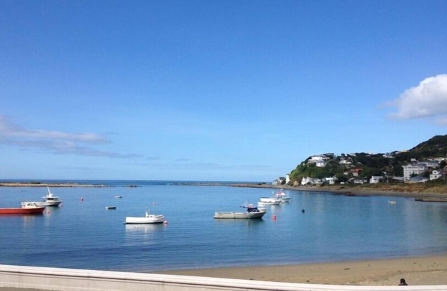 Island Bay Wellington stunning beach front bach